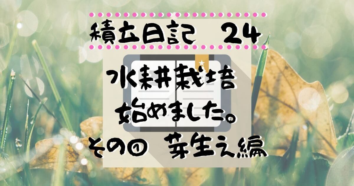 家庭菜園 水耕栽培 種まき 芽生え編 令和2年6月4日積立日記 積立日記