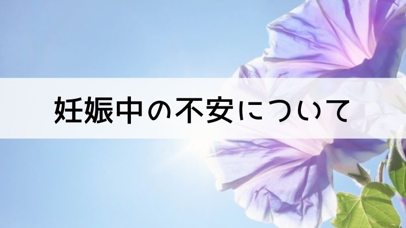 NIPTを受ける理由。妊婦の不安について